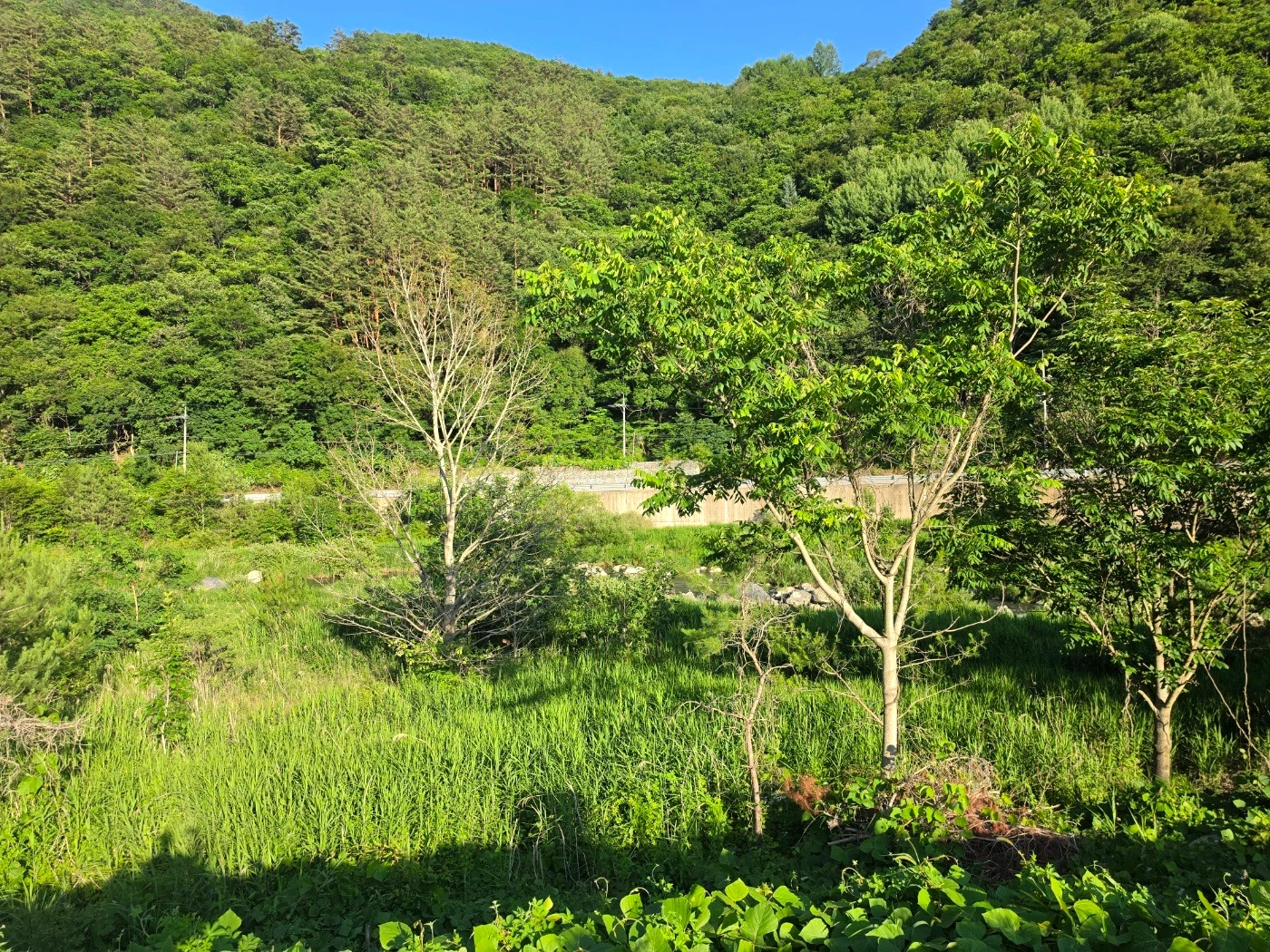 캠핑장 주변의 자연 풍경